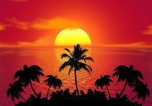 Puzzle coucher de soleil sur une plage des tropiques