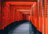 Puzzle Chemin du palais Au Japon